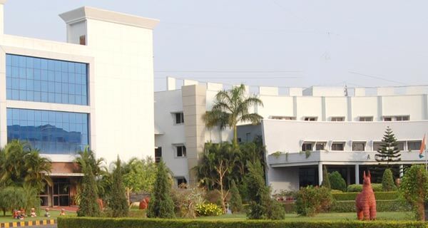 banner image section1