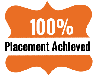 100% placement achieved image section9